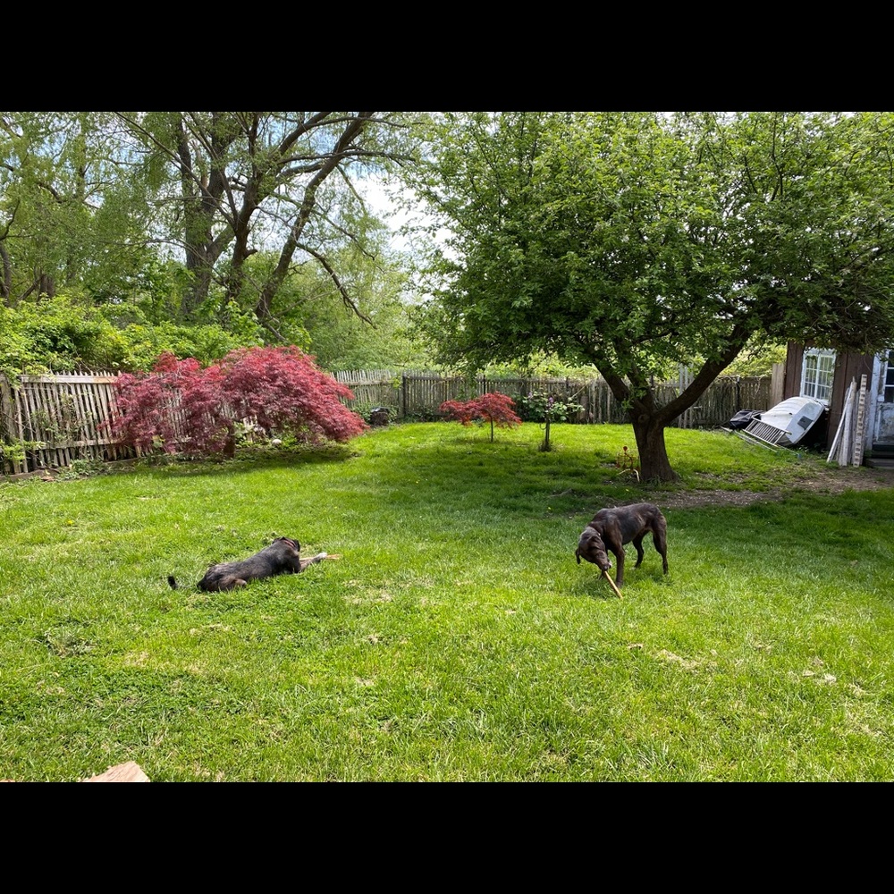 hello! - Picture 5 of 5